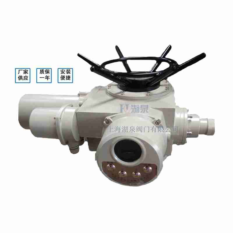 閥門電動(dòng)裝置（dzw05,10,20，30,45,60，90,12