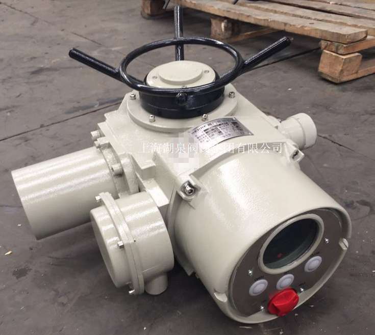 電動執(zhí)行器