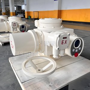 閥門電動(dòng)裝置dzw90-24選型手冊及調(diào)試視頻